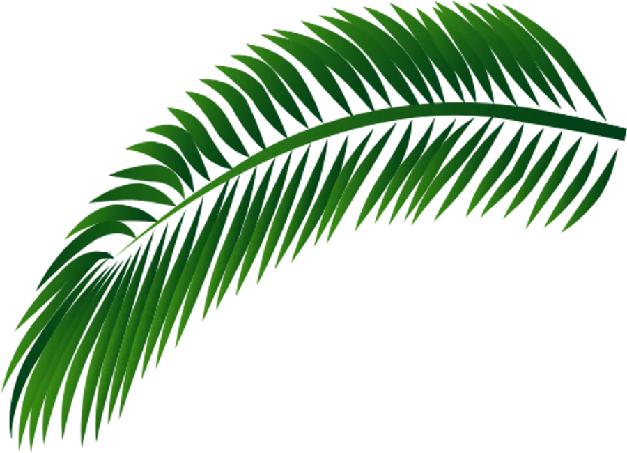 Leaves PNG Wallpapers