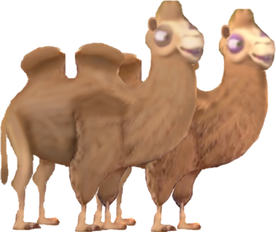 2011 Trampeltier - Bactrian Camel, HD Png Download PNG with transparent background