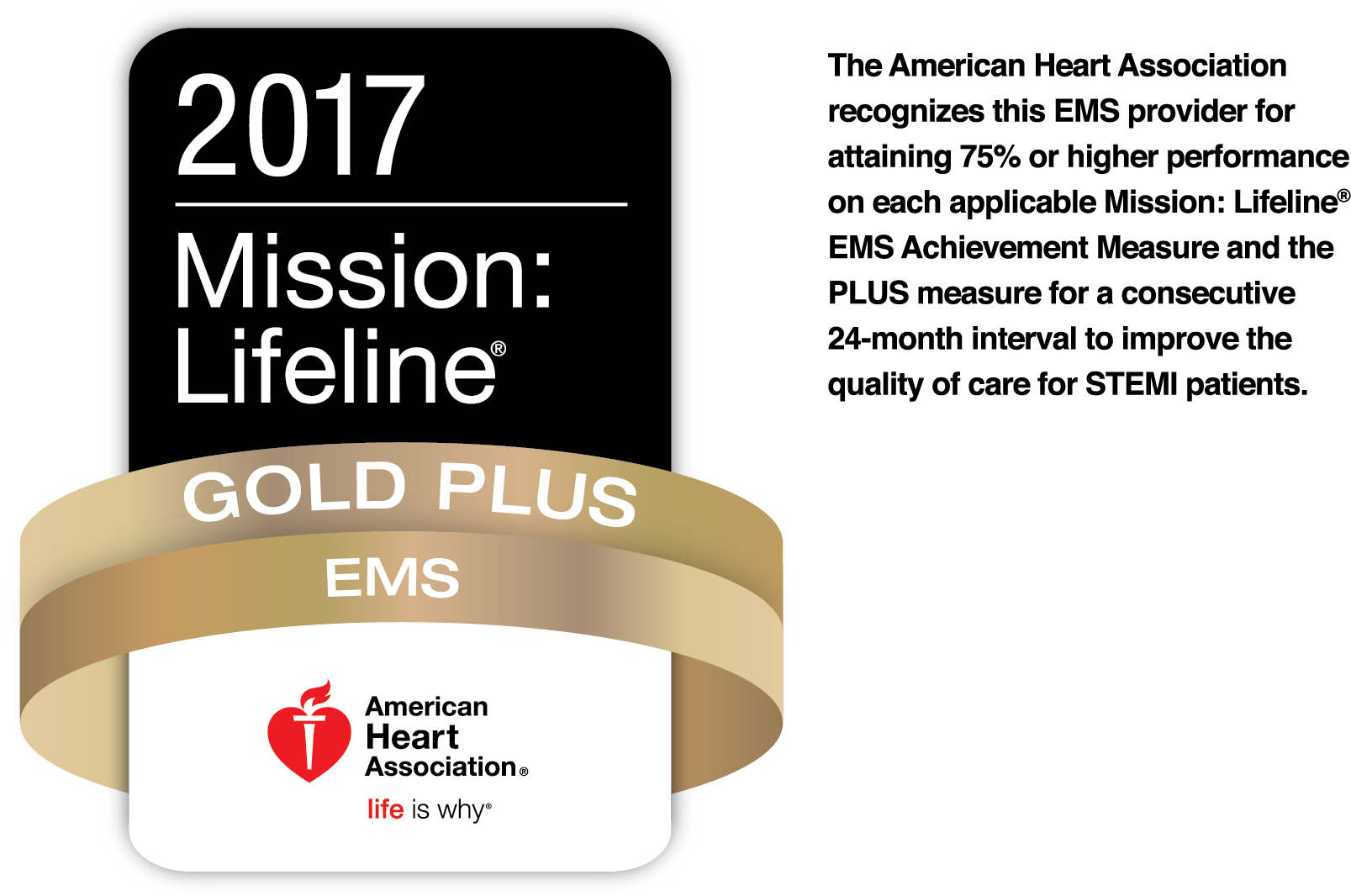 2017 Mission Lifeline Gold Plus Award PNG with transparent background