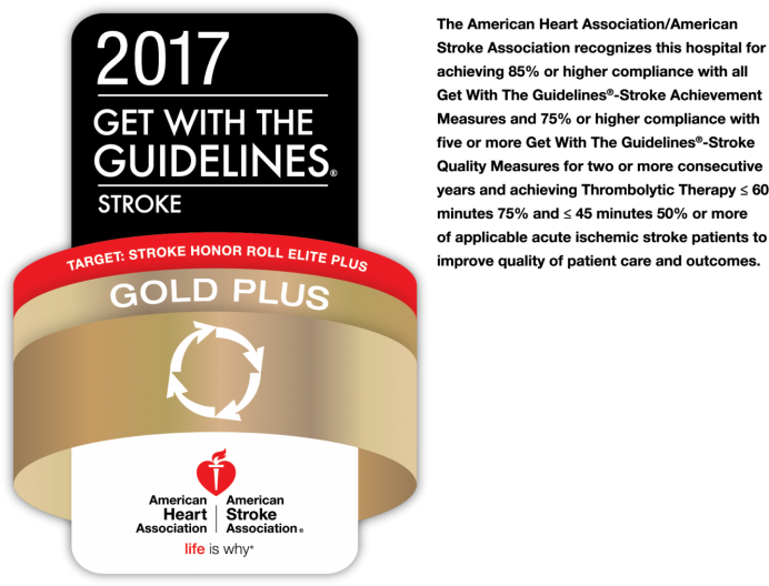 2017 Stroke Guidelines Award PNG with transparent background