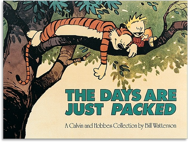 2thedaysarejustpacked1 - Calvin And Hobbes The Days Are Just Packed, HD Png Download PNG with transparent background