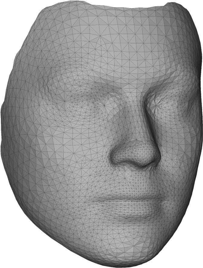 3 D Model Face Wireframe PNG with transparent background