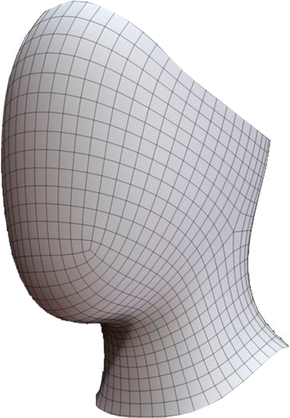 3 D Model Mannequin Head Wireframe