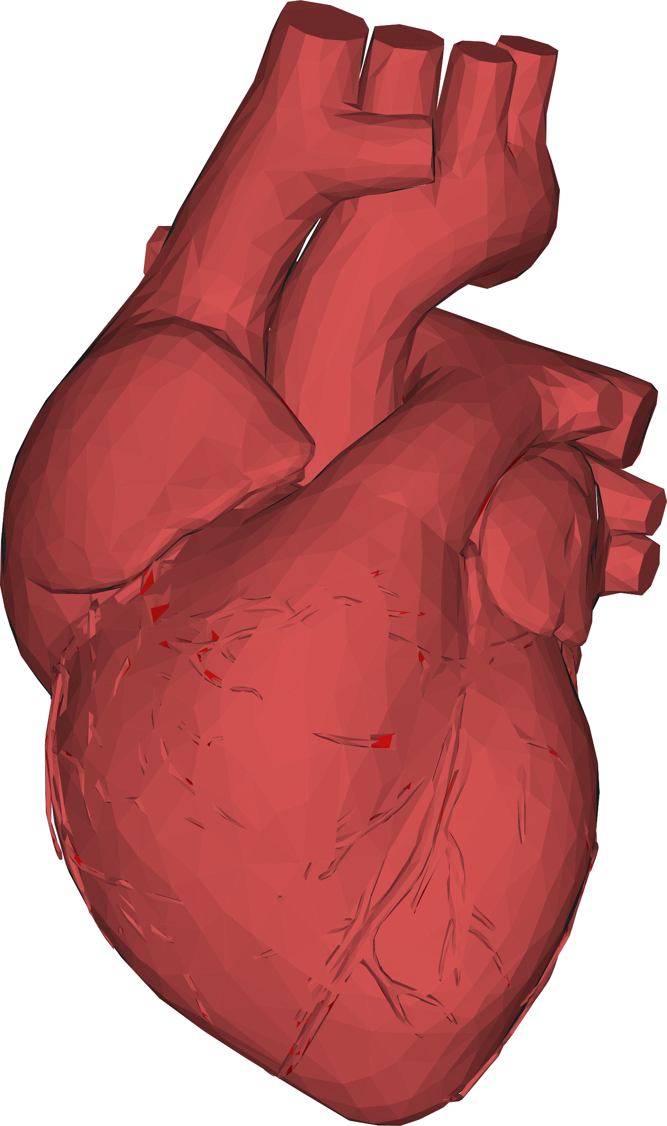 3d Computer Graphics Low Poly Heart Anatomy Thumb - Heart Organ 3d Png, Transparent Png PNG with transparent background