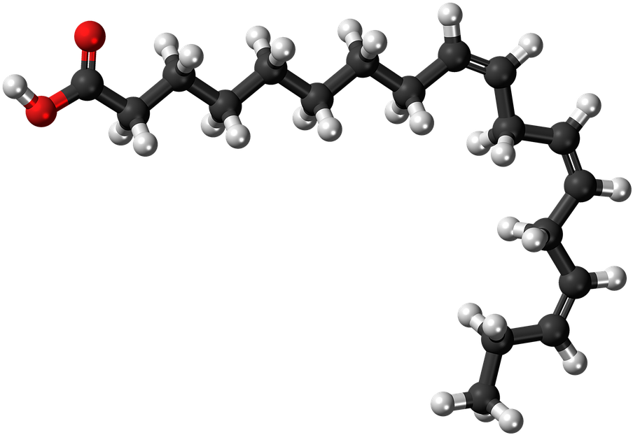 Alpha Linolenic Acid, Fatty Acid, Unsaturated, Molecule - Linoleic Acid 3d Structure, HD Png Download PNG with transparent background