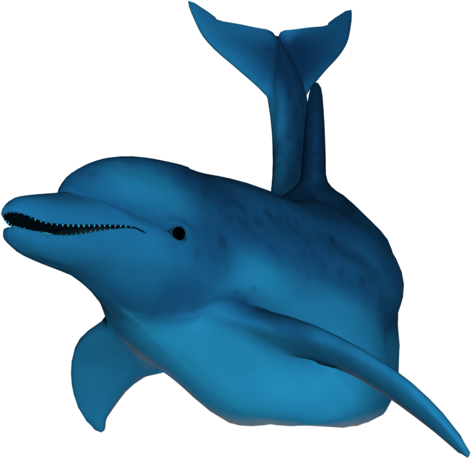 3 D Rendered Blue Dolphin