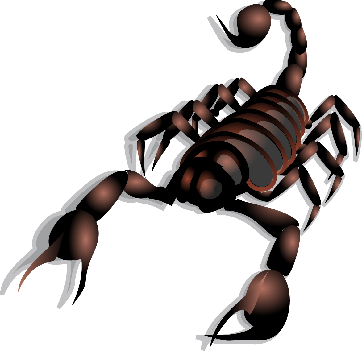 3 D Scorpio Graphic