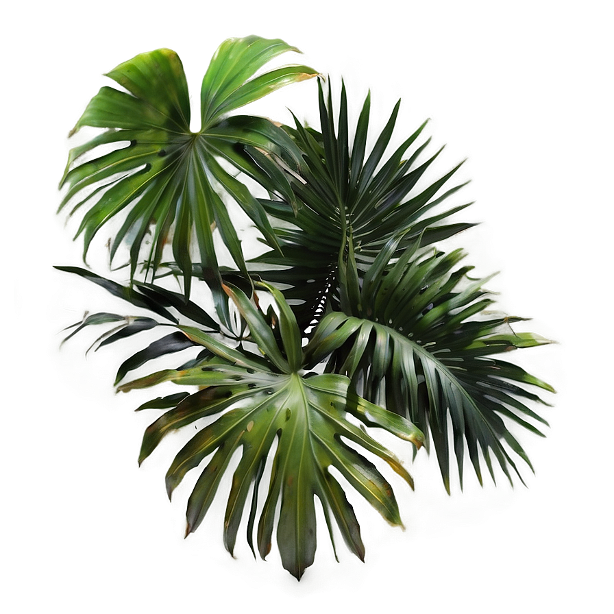 3d Palm Leaves Png Nne52