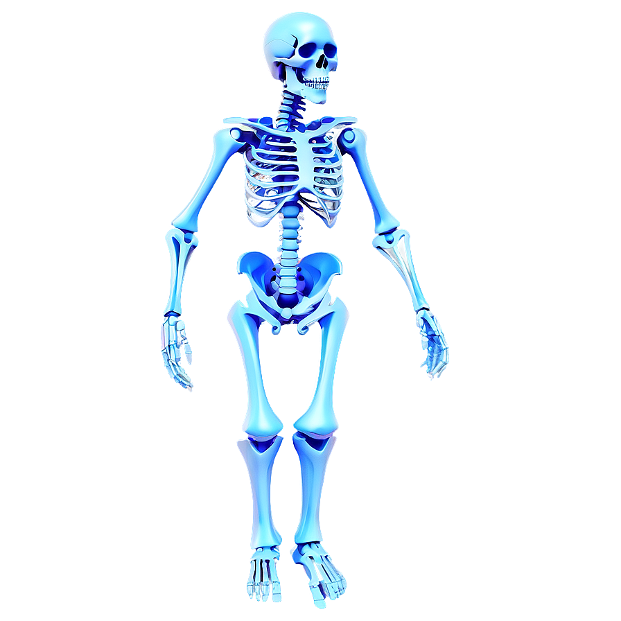 3d Rendered Human Skeleton Png Xdf