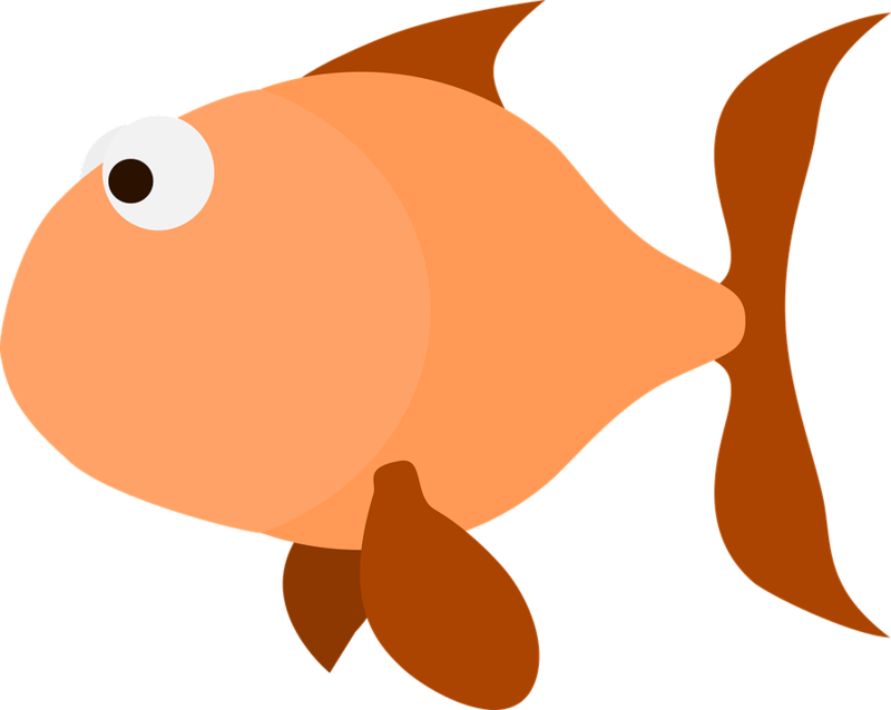 67602 - Fish Clipart Transparent Background Black, HD Png Download PNG with transparent background
