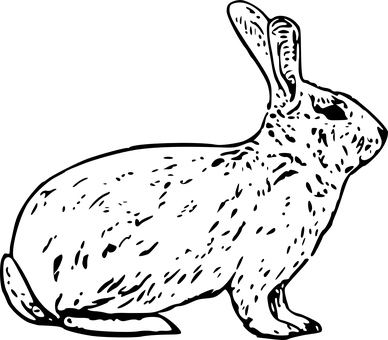 a black background with a black square PNG with transparent background