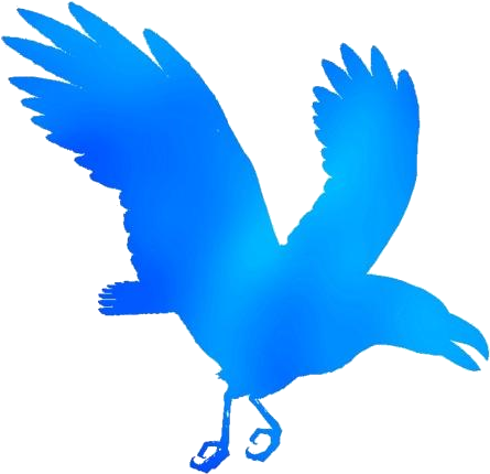 A Raven Png Free Transparent Clipart - Raven Flying Png, Png Download PNG with transparent background