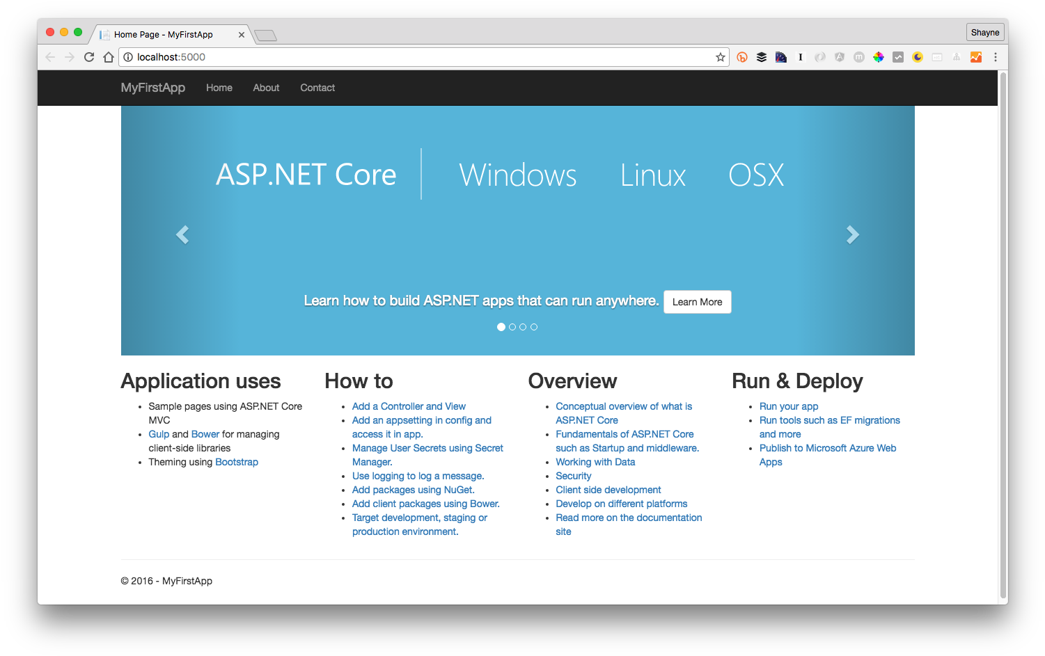 A S P N E T Core Webpage Screenshot