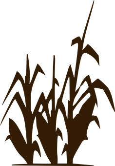 a silhouette of a plant PNG with transparent background
