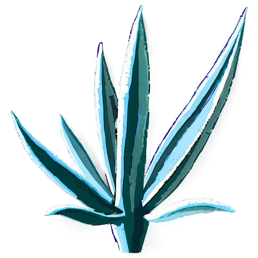 Abstract Agave Plant Png 06282024