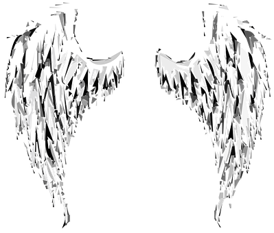 Abstract Angel Wings Art PNG with transparent background