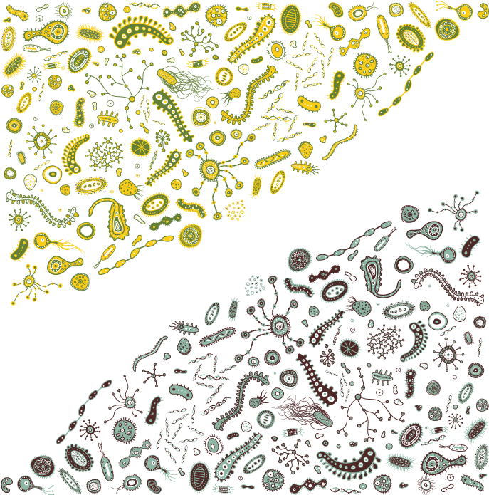 Bacteria Png Vector Icon, Transparent Png PNG with transparent background