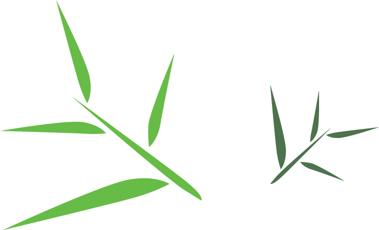 Download Bamboo Leaf Png Free Download - Bamboo Leaves Clip Art, Transparent Png PNG with transparent background