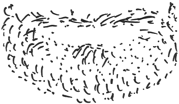 Stubble Beard Png - Beard Stubble Png PNG image with a transparent background, free high-resolution download