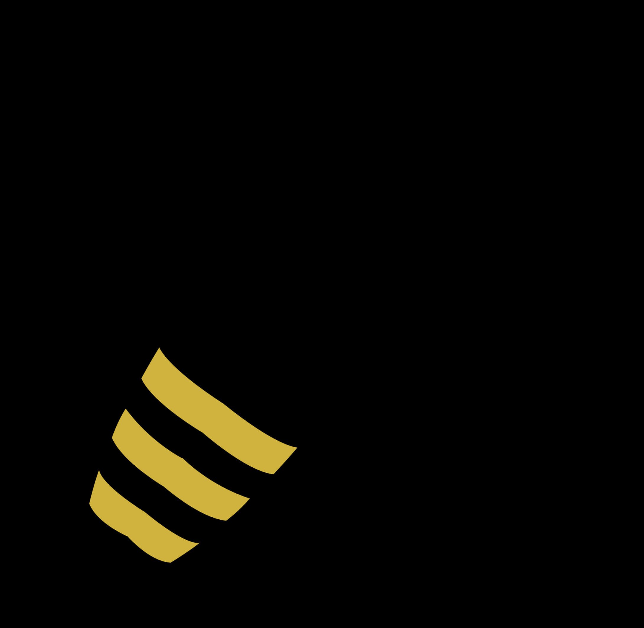 A Structured Gap Year Can Be Just What You Need - Bee, HD Png Download PNG with transparent background