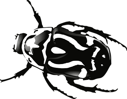 Abstract Blackand White Beetle Illustration PNG with transparent background