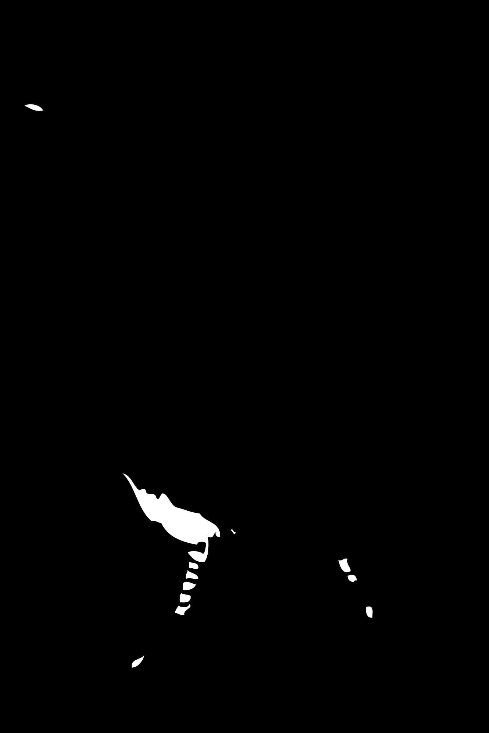 Abstract Blackand White Contrast PNG with transparent background