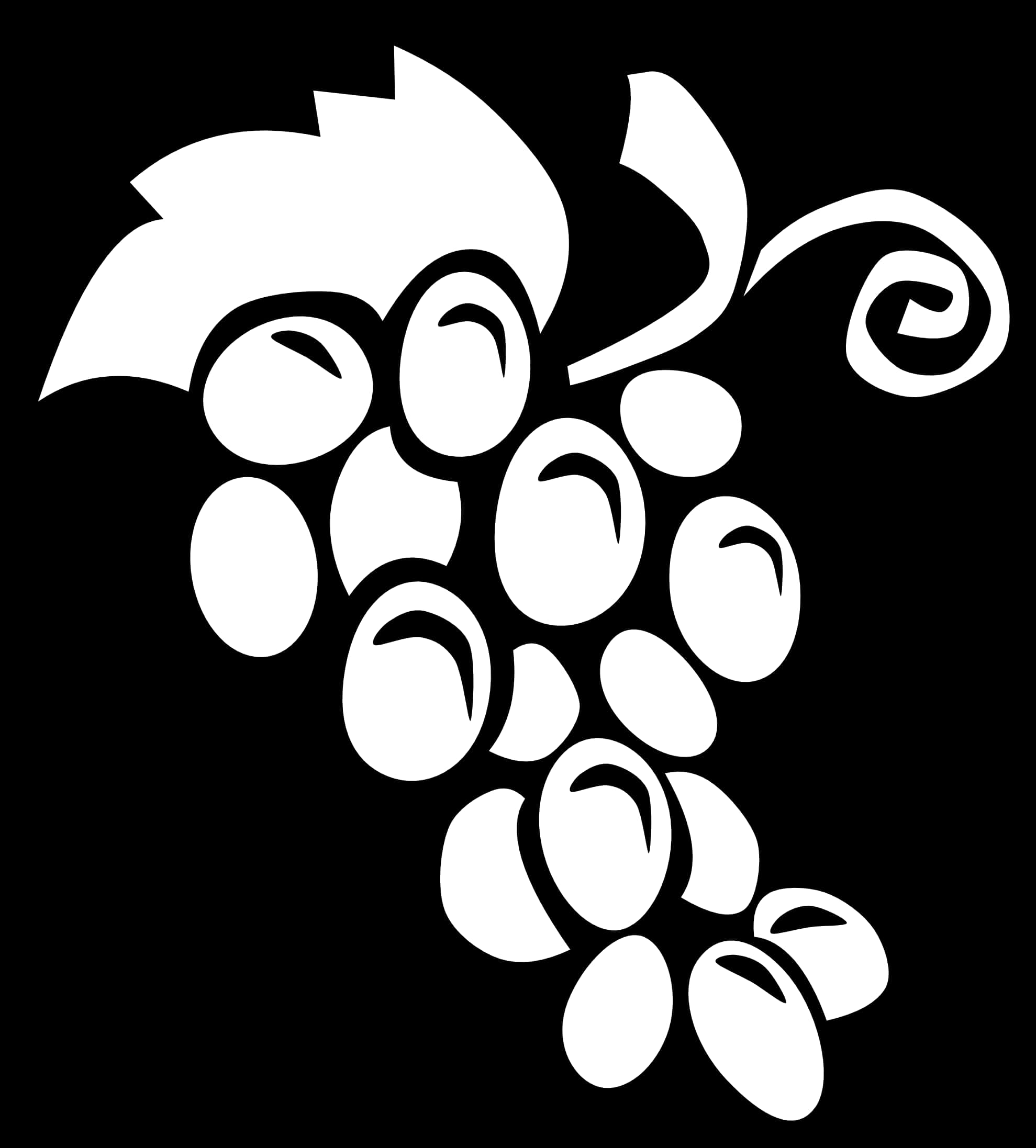 Abstract Blackand White Floral Design PNG with transparent background
