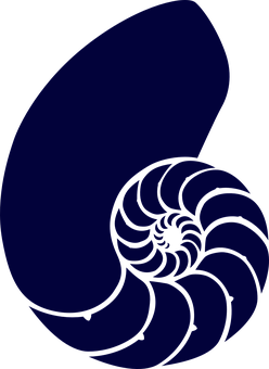 Abstract Blue Shell Graphic PNG with transparent background