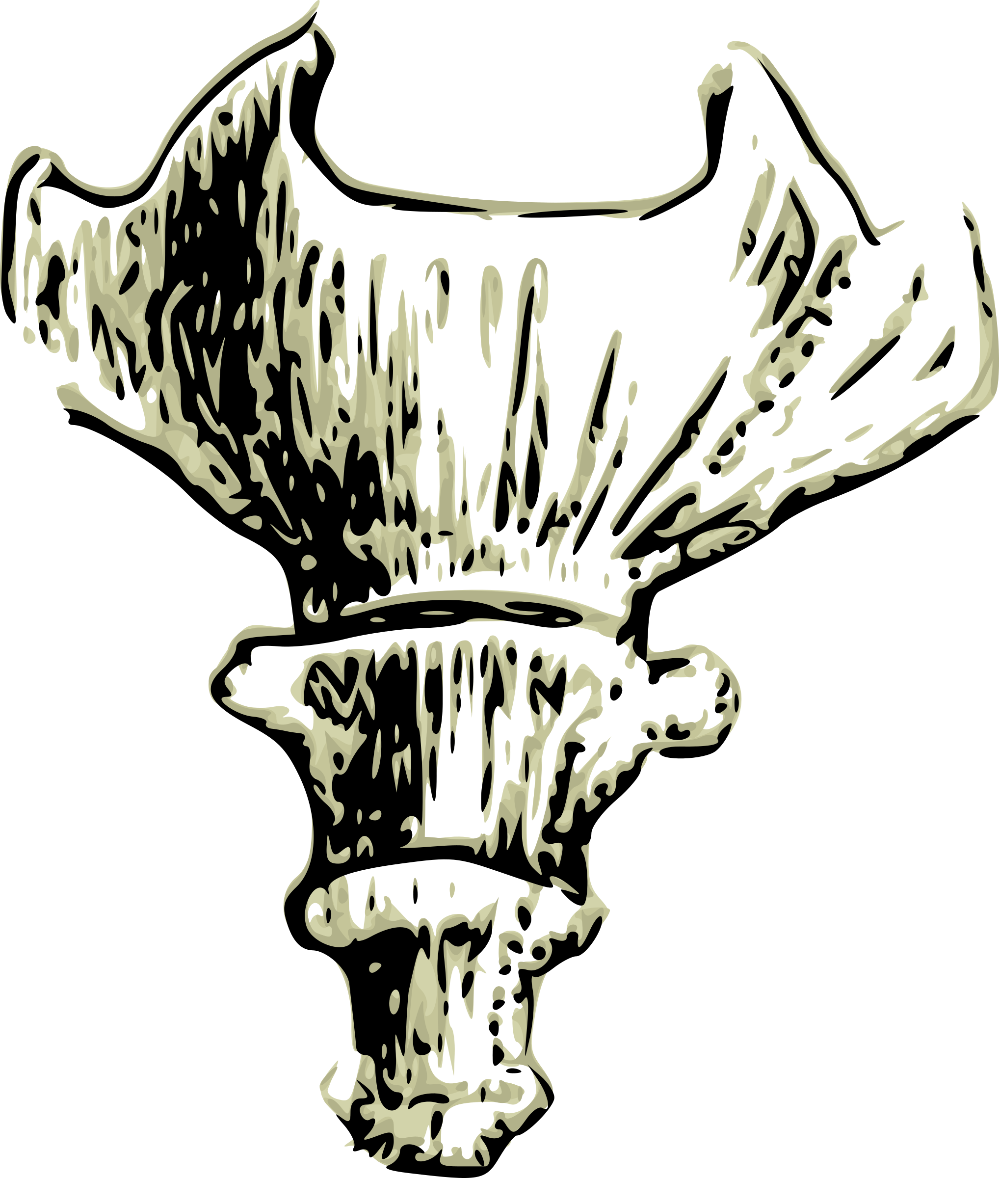 Abstract Bone Illustration PNG with transparent background