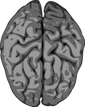 Abstract Brain Illustration PNG with transparent background