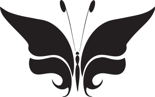 Abstract Butterfly Silhouette