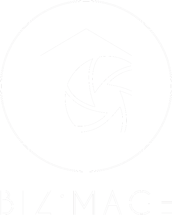 Abstract Camera Shutter Logo Bizi M A G E