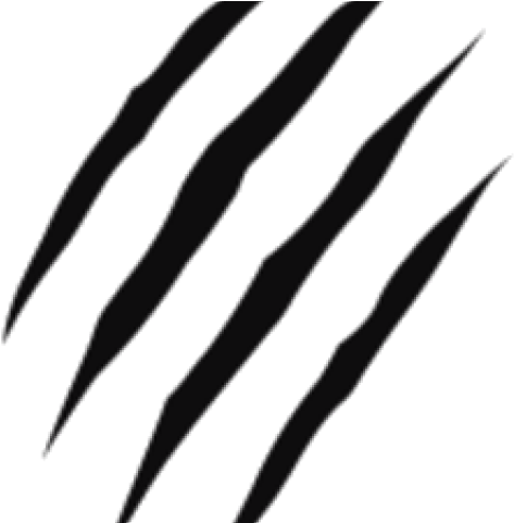 Scratch Tiger Png, Transparent Png PNG with transparent background