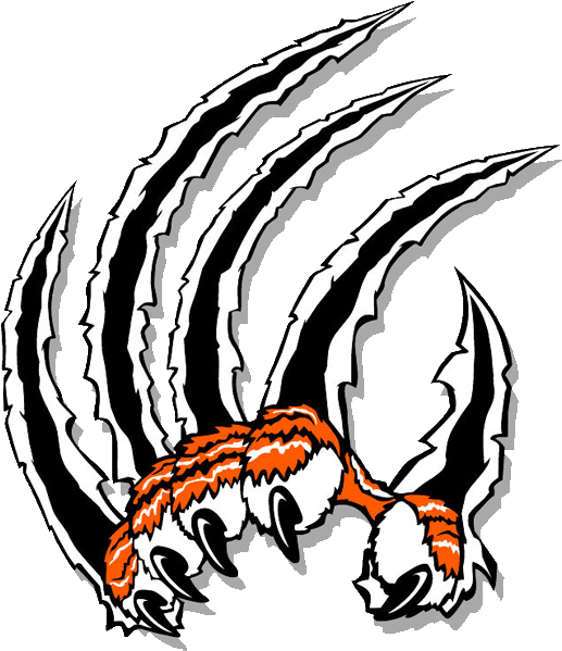Claw Clip Art - Tiger Claws Clipart, HD Png Download PNG with transparent background