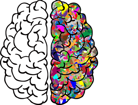 Abstract Colorful Brain Art PNG with transparent background