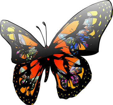 Abstract Colorful Butterfly Art