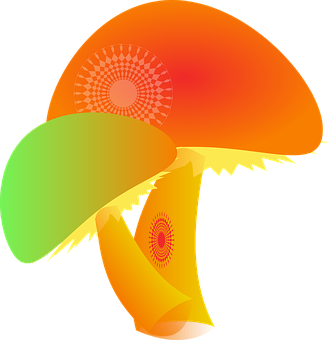 Abstract Colorful Mushroom Illustration PNG with transparent background