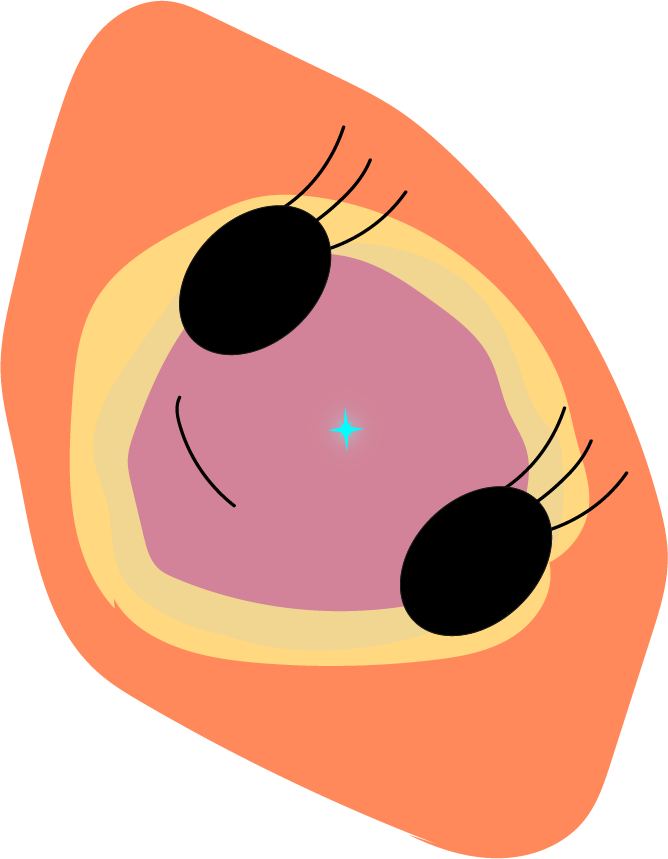 Abstract Cosmic Eye Illustration PNG with transparent background