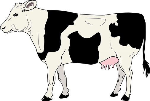 Abstract Cow Illustration PNG with transparent background