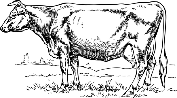 Abstract Cow Sketch Art PNG with transparent background