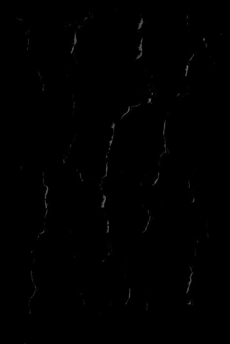 Cracks Png, Transparent Png PNG image with a transparent background, free high-resolution download