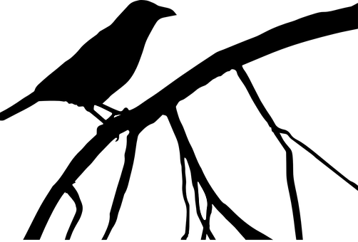 Abstract Crowin Darkness PNG with transparent background