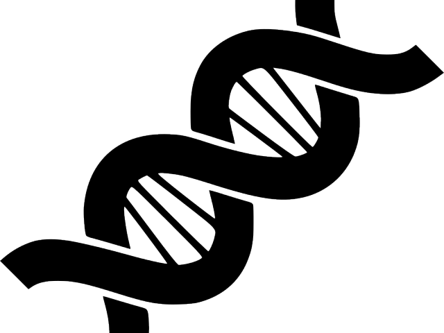 Abstract D N A Double Helix PNG with transparent background