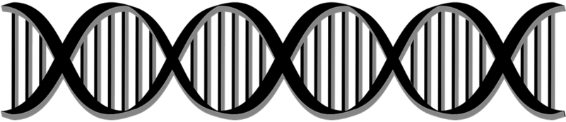 Biologie Zellen, HD Png Download PNG with transparent background