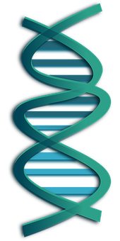 Abstract D N A Double Helix Illustration 170x340 PNG image with a transparent background, free high-resolution download