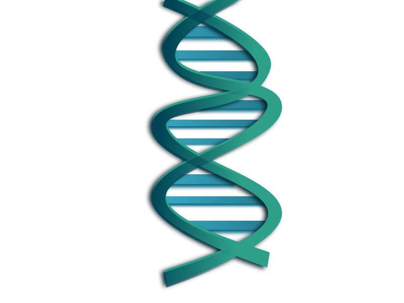 Abstract D N A Double Helix Illustration PNG image with a transparent background, free high-resolution download