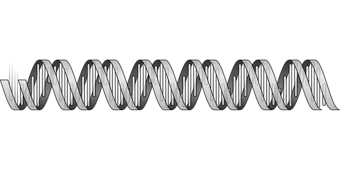 Abstract D N A Double Helix Illustration 680x340 PNG image with a transparent background, free high-resolution download