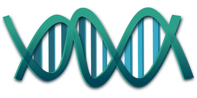 Abstract D N A Double Helix Illustration PNG image with a transparent background, free high-resolution download
