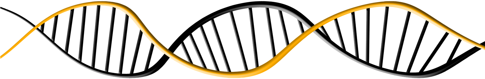 Dna Biology Clipart Png, Transparent Png PNG with transparent background