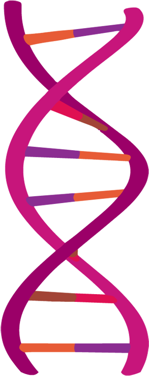 Abstract D N A Double Helix Illustration PNG with transparent background